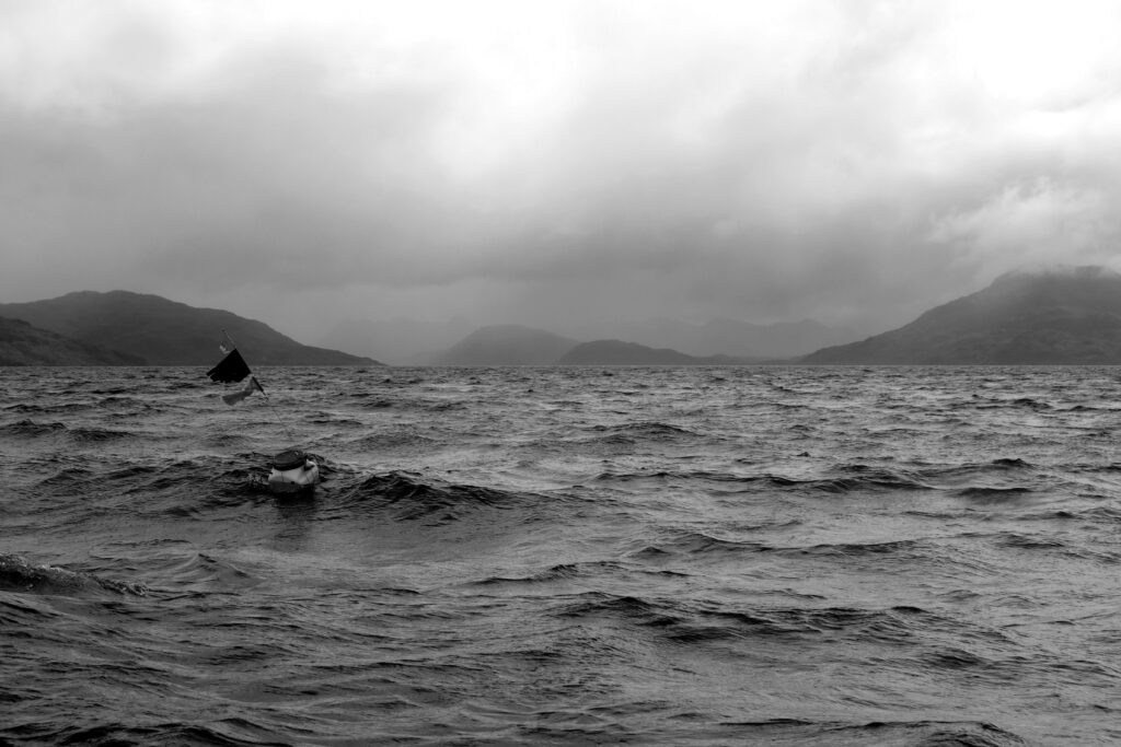 Los medios se hacen eco de Whale Refractions