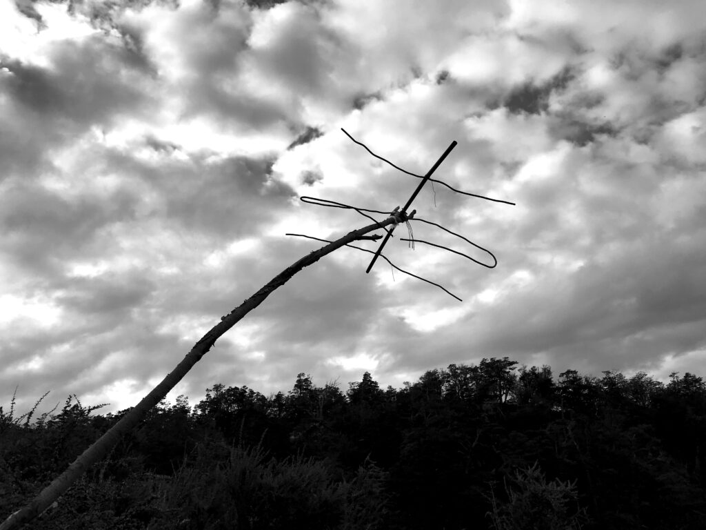 Radiales