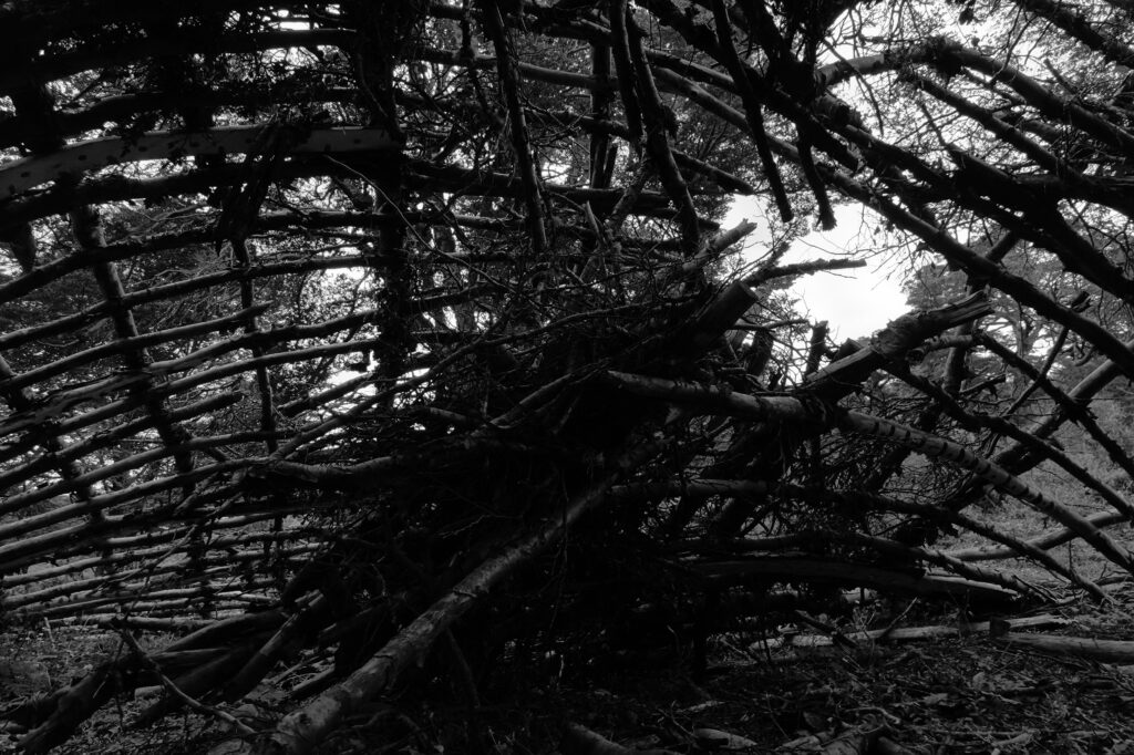 Forum: Traces and Encounters 