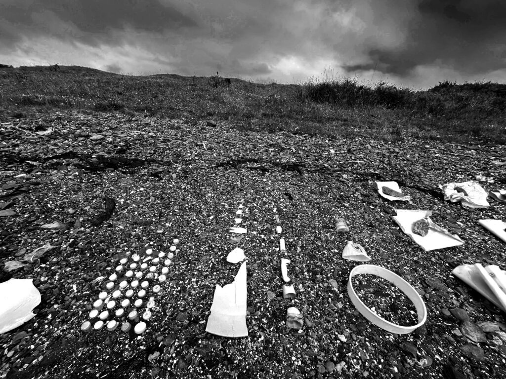 Plasticity
